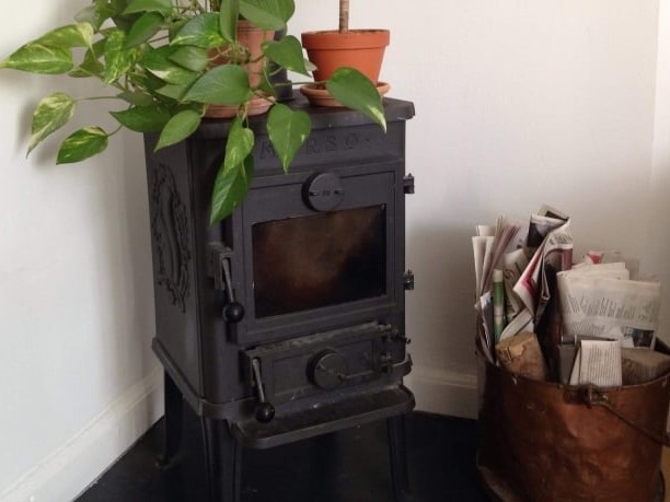 brændeovn med plante
