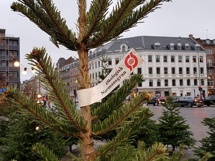 juletræ 4til3
