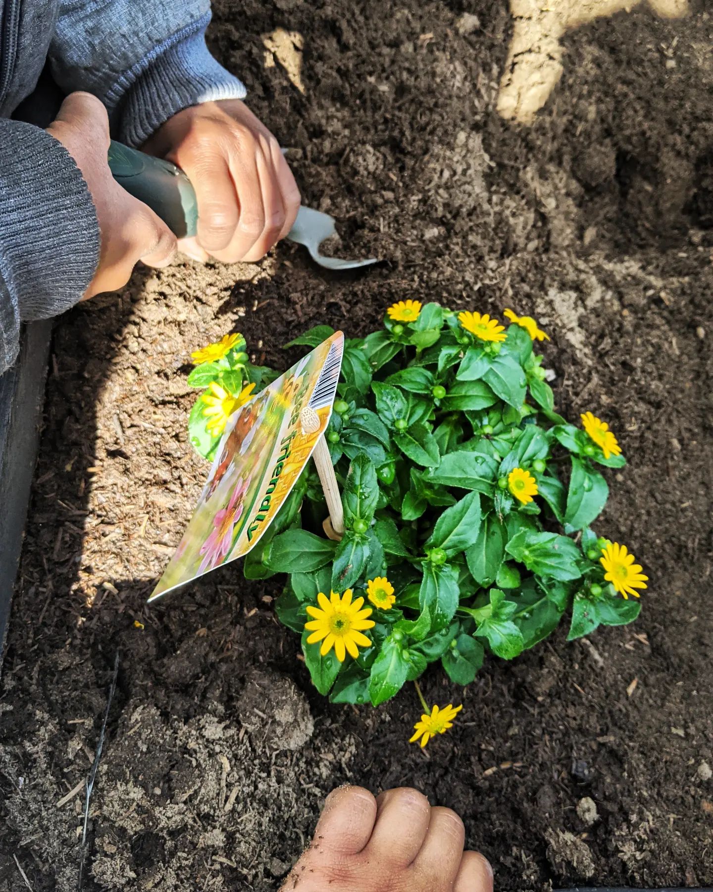PLANTEWORKSHOP PÅ BIENS DAG 🐝🐝🐝
Vil du hjælpe byens bier?
FN har udråbt d. 20. maj til biernes internationale (kamp)dag ✊
Kom og vær med til at markere det på Østerbro, når vi inviterer til planteworkshop med frøbomber, bi-venlige blomster og masser af grøn inspiration 🌱🌿🌻🌷🌼
Planteworkshoppen foregår på den bemandede legeplads i Kildevældsparken kl. 15.00 – 17.00. Her vil planteskolegartner og naturformidler Anne Tange stå klar til at hjælpe os med at tage de grønne fingre i brug 💚🌍
Alle er velkomne - både store og små!
#biensdag #biensdag2022 #biodiversitet #redbierne #savethebees #beeday #worldbeeday #biodiversity #natur #bynatur #naturibyen #vildnatur #danmarksnatur #bæredygtig #bæredygtigt #hverdagsaktivisme #miljøvenlig #planteworkshop #grønnefingre #miljøpunktøsterbro #miljopunktosterbro #miljøpunkt #østerbro #grøntøsterbro #bæredygtigøsterbro #københavn #copenhagen #kildevældsparken