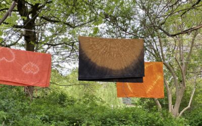 Plantefarvning, shibori-mønstre og vegansk linsegryde