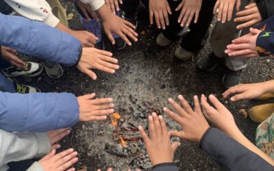 For skoleklasser: Lær om klimavenlig mad, tøj, biodiversitet og den spiselige natur