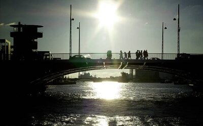 Nu kan du stemme på din favoritkandidat til HOFORs Forbrugervalg 2026